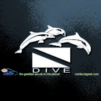 Scuba Dive Jumping Dolphins Car Decal