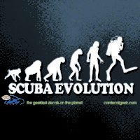 Scuba Evolution Car Decal Sticker