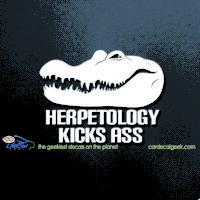 Alligator Herpetology Kicks Ass Car Decal Sticker