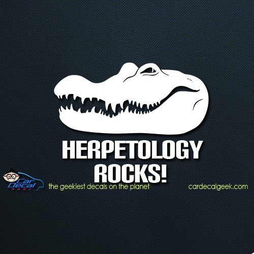 Alligator Crocodile Herpetology Rocks Car Decal