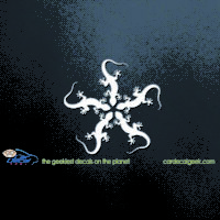 Lizards Forming a Star Car Decal
