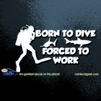 Born to Scuba Dive Forced to Work Car Decal