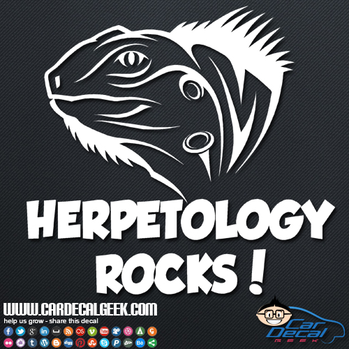 Iguana Herpetology Rocks Car Sticker