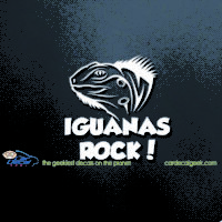 Iguana's Rock Car Decal