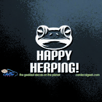 Frog Happy Herping Car Decal