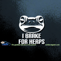 Frog I Brake for Herps Car Decal