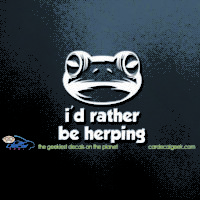 Frog I'd Rather Be Herping Car Decal