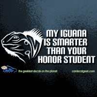 My Iguana is Smarter Than Your Honor Student Car Decal