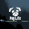 Pug Life Car Decal