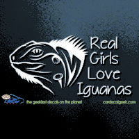Real Girls Love Iguanas Car Decal