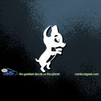 chihuahua standing car decal