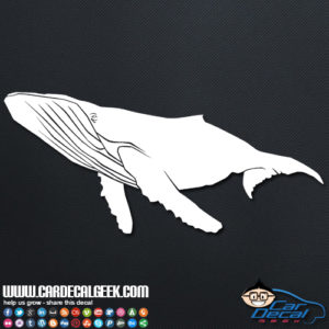 thumbnail image 2 of Steam Humpback Whale Clear Vnyl Stcker – Artoft 2 of 11