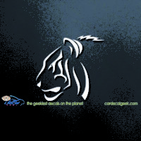 Tribal Tiger Face Car Decal