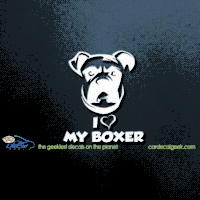 I Love My Boxer Decal