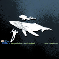 Whale and Scuba Divers Car Decal