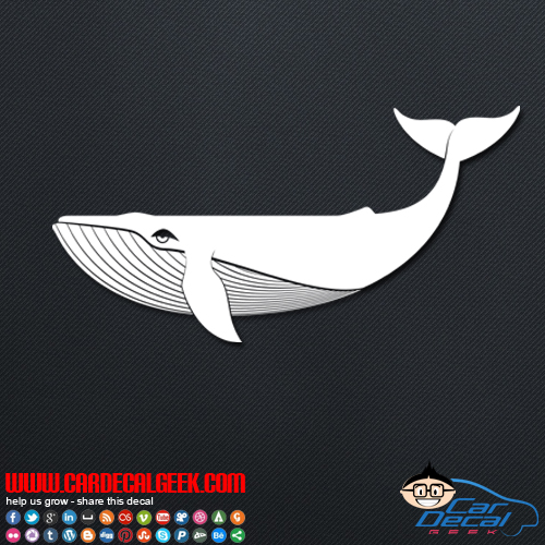 Cool Whale Car Sticker