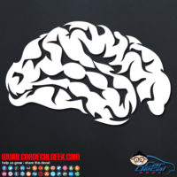 Human Brain Vinyl Decal Sticker