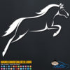 Amazing Jumping Horse Decal