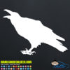 Raven Crow Decal Stcker