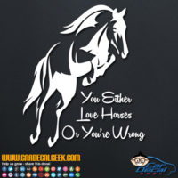 You Either Love Horses Or You're Wrong Decal Sticker