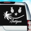 Antigua Tropical Smiley Face Vinyl Car Window Decal Sticker