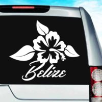 Belize Hibiscus Flower Vinyl Car Window Decal Sticker