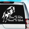 Born To Ride Horses Forced To Work Vinyl Car Window Decal Sticker