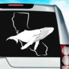 California Humpback Whale Vinyl Car Window Decal Sticker