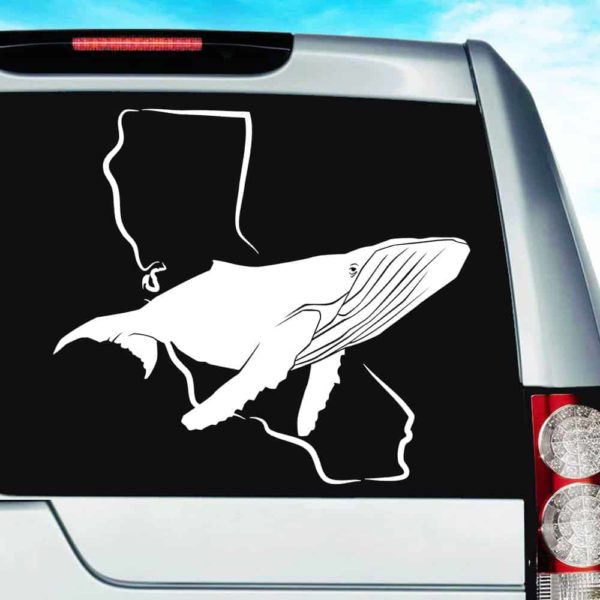 California Humpback Whale Vinyl Car Window Decal Sticker