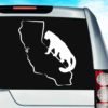 California Mountainlion Vinyl Car Window Decal Sticker