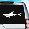 Freaking Sweet Shark Vinyl Car Window Decal Sticker