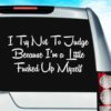 I Try Not To Judge Because Im A Little Fucked Up Myself Vinyl Car Window Decal Sticker