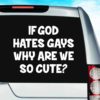 If God Hates Gays Why Are We So Cute Vinyl Car Window Decal Sticker