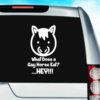 What Does A Gay Horse Eat Hey Vinyl Car Window Decal Sticker