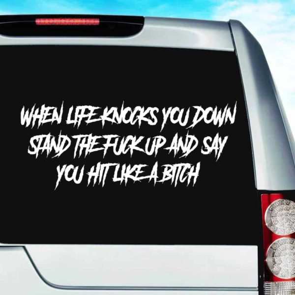When Life Knocks You Down Stand The Fuck Up And Say You Hit Like A Bitch Vinyl Car Window Decal Sticker