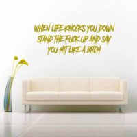 When Life Knocks You Down Stand The Fuck Up And Say You Hit Like A Bitch Vinyl Wall Decal Sticker